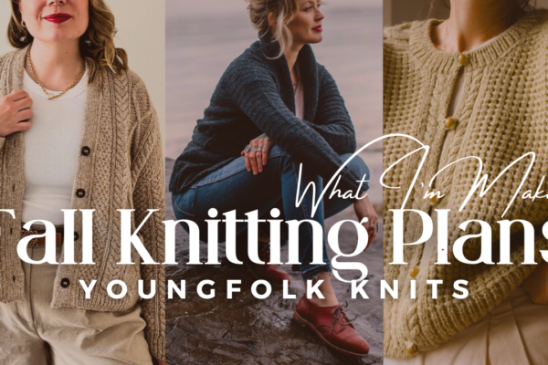 fall knitting plans 2024