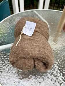 IMG 4625